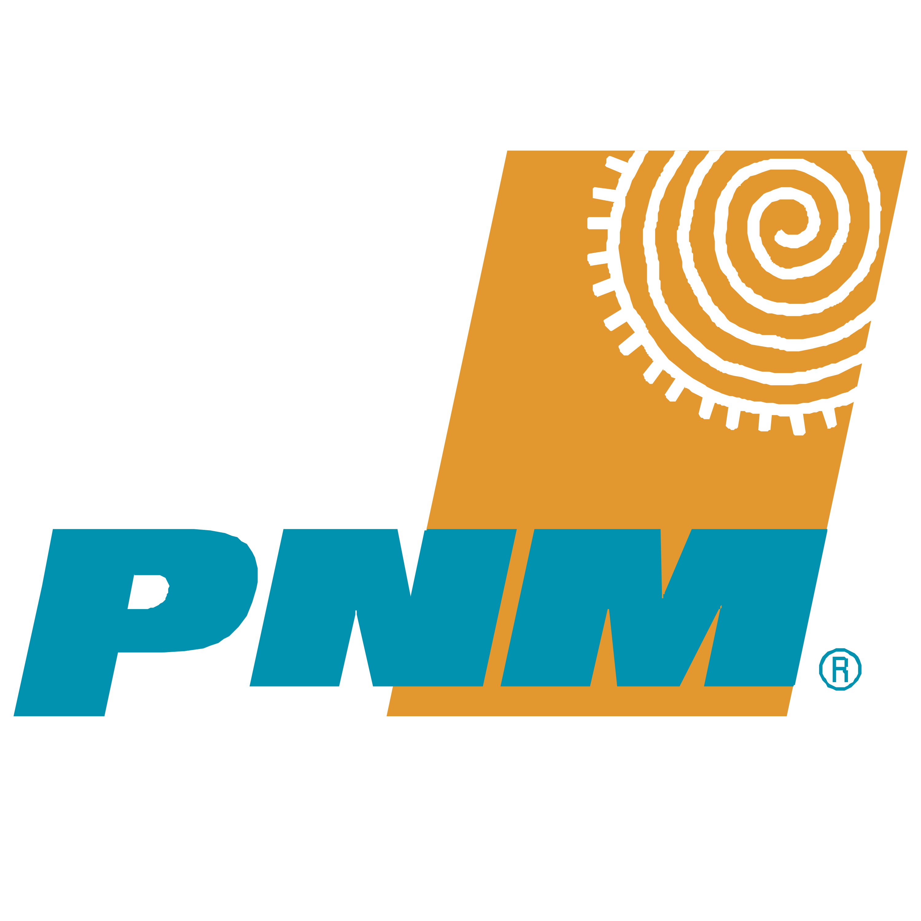 PNM